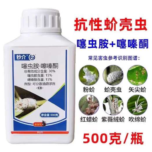 鄄城县噻嗪酮噻虫胺蚧壳虫梨木虱果树蔬菜芒果柿子树介壳虫专用杀虫剂