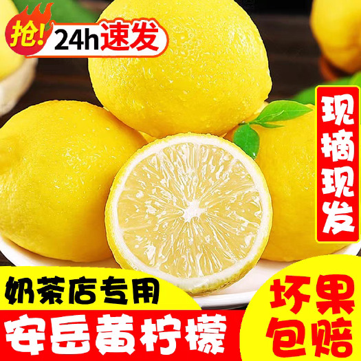 长沙柠檬