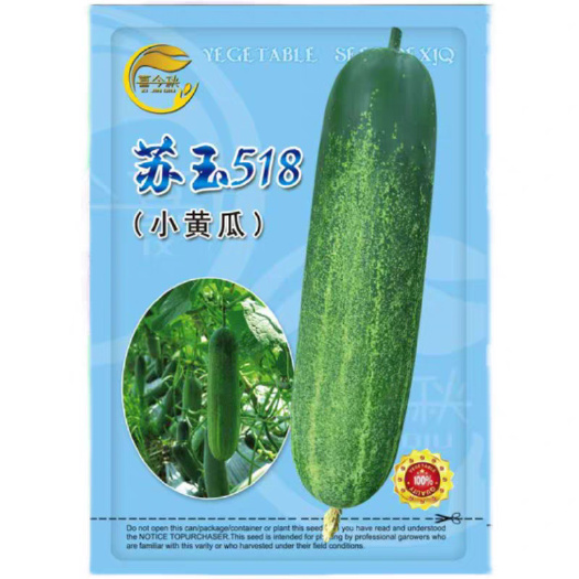 南宁苏玉518 水果吊瓜  杂交一代 春秋型  早熟  耐寒