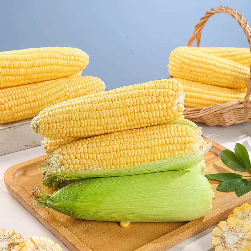 云南水果玉米新鲜采摘，产地直发，可支持一件