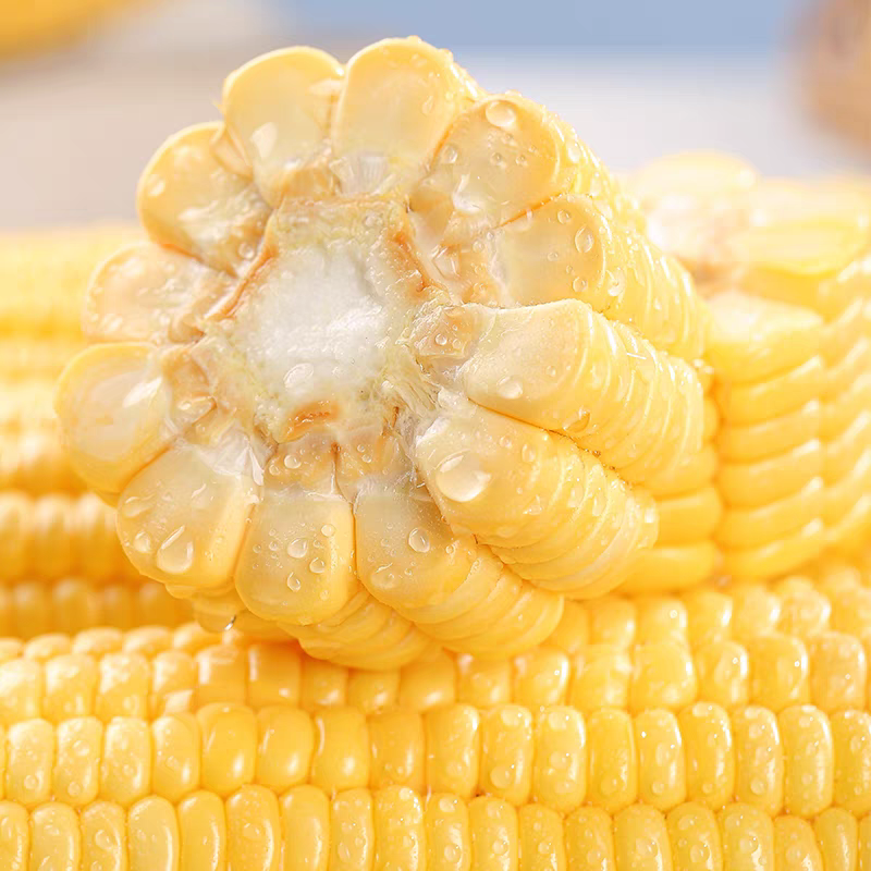 云南水果玉米新鲜采摘，产地直发，可支持一件