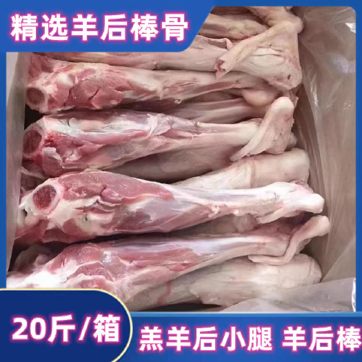 南京羊后腱新鲜冷冻羊后腿羊后棒20斤整箱羊小腿清真食品羊棒骨羊肉