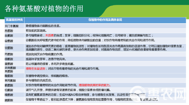 维丰泰（茶叶专用）先锋蛋白肽含氨基酸水溶肥料茶叶专用膨大素剂