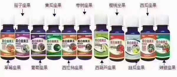郑州座果王