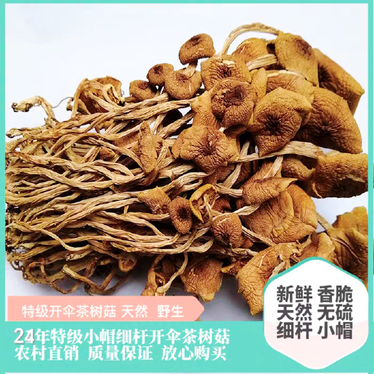 23年新货茶树菇干货开伞茶树菇香嫩农家自产江西广昌茶薪菇散装