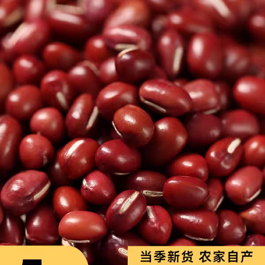 2023年东北红豆农家自产红小豆新货赤豆赤小豆新五谷杂粮5斤