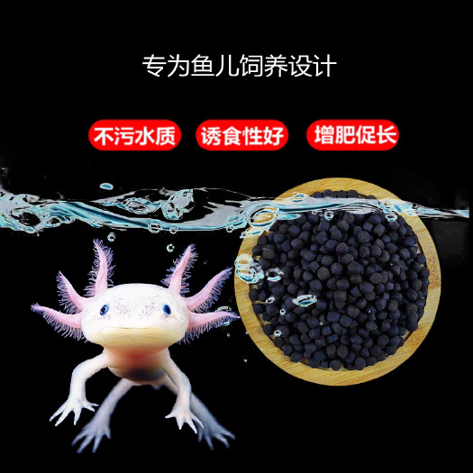 无棣县娃娃鱼饲料六角恐龙鱼饲料大鲵养专用小火龙底栖鱼下沉料