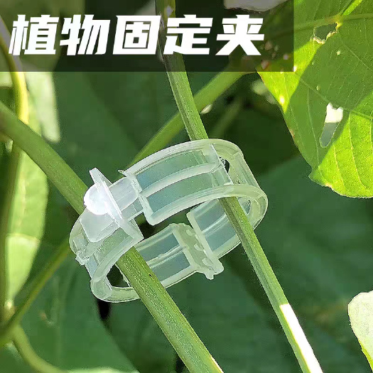 忠县扶蔓夹绑蔓夹吊秧卡扣绿植夹藤蔓固定夹辣椒茄子固定器秧苗植物夹