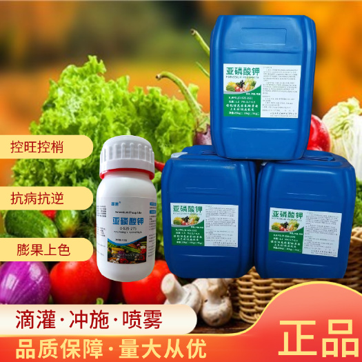 济南亚磷酸钾控稍控旺高磷钾肥控旺肥保花保果控旺肥