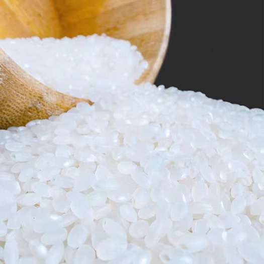 2023年新米东北大米10斤大米圆粒米珍珠米