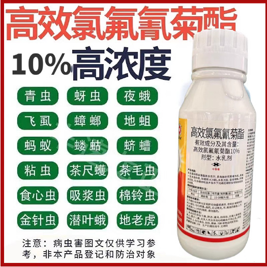 鄄城县10%高效氯氟氰菊酯 功夫菊酯果树蔬菜棉铃虫青虫肉虫农药杀虫