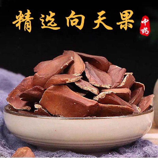 向天果中药材  新货白果仁  批发零售