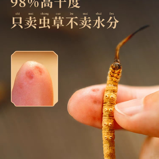 冬虫夏草是一种补阳药，为麦角菌科真菌冬虫夏草菌寄生在蝙蝠蛾科