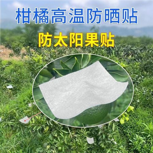  防渗膜