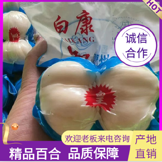 兰州热销《》精品小两头（60包）