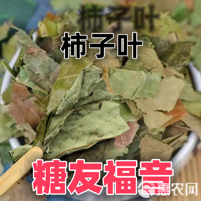 中药材新货柿子霜后叶非新鲜柿叶整张叶柿子叶茶柿子叶袋泡茶柿叶