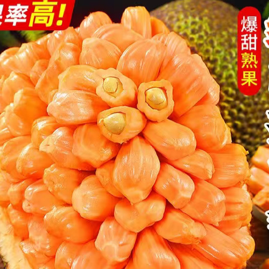 陵水县海南红肉菠萝蜜热带水果现摘新鲜整箱一整个包邮
