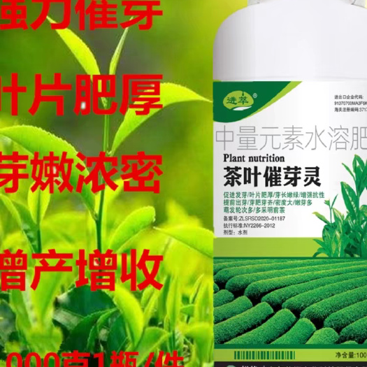 玉林叶面肥茶叶催芽灵1000克茶树专用绿叶嫩芽多粗生根壮苗剂
