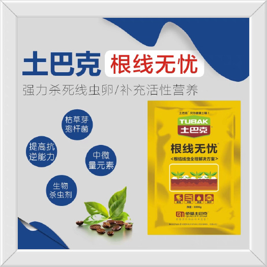 长沙土巴克根线无忧枯草芽孢杆菌微生物菌剂防治根结线虫土传病害农用