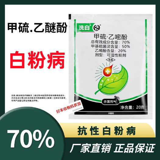 鄄城县中迅洗白甲硫乙醚酚苹果树白粉病小麦蔬菜黄瓜月季白粉病正品包邮