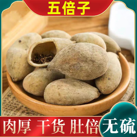 五倍子中药材  独倍  角倍  当季新货规格齐全 批发零售
