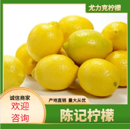 安岳县尤力克柠檬  一二2级半果子