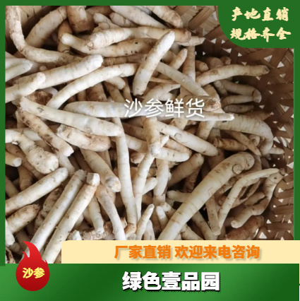 金堂县川明参（简称沙参）自己基地种植，种植杜绝化学种植。