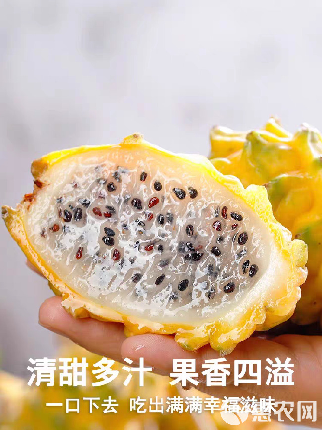 燕窝果各大平台一件代发