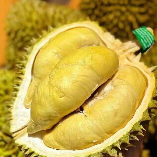 沈阳干扰特级榴莲