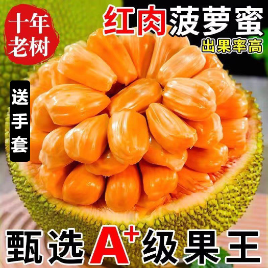 三亚红肉菠萝蜜一斤代发就发