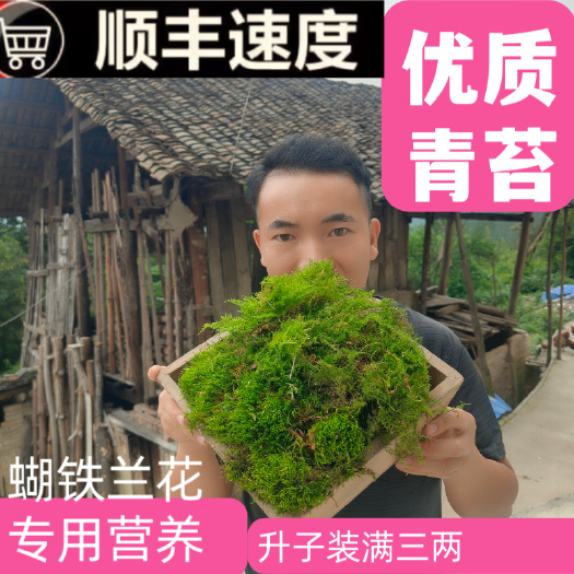 平塘县优质水苔青苔