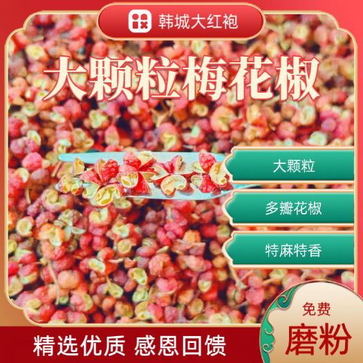 韩城市梅花椒 韩城大红袍梅花花椒产地直销包邮