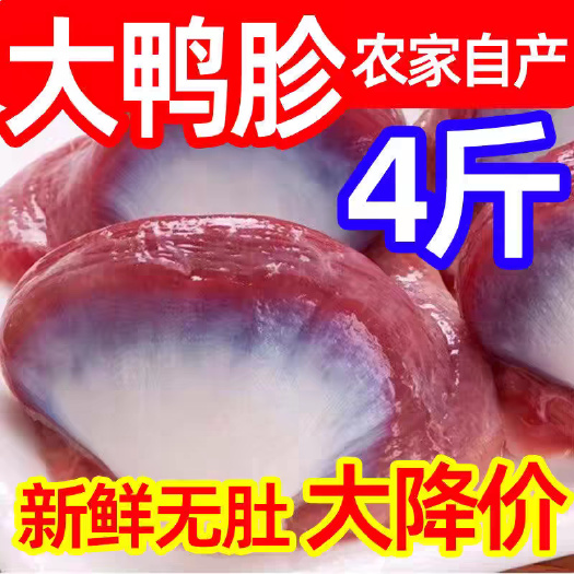 南京大鸭胗4斤新鲜特大鸭盹鸭胃冷冻生鲜鸭货烧烤卤味食材饭店商用