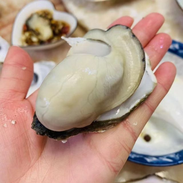 【产地直发】山东乳山高品质生蚝牡蛎 鲜活到家