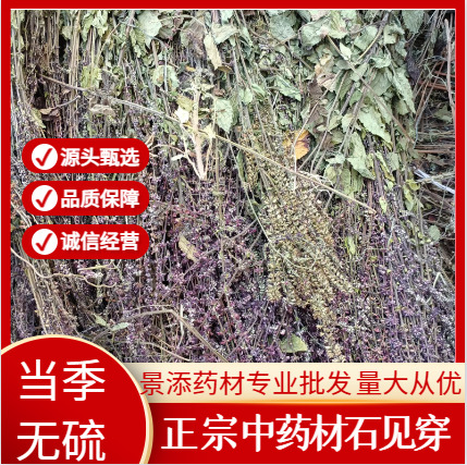 【产地直销】石见穿现货直供，无中间商，物美价廉，一件=批发价