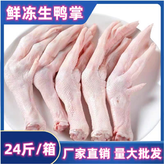 南京新鲜冷冻生鸭掌一级鸭爪鸭肉 整箱酒店食堂用江浙沪皖整箱包邮