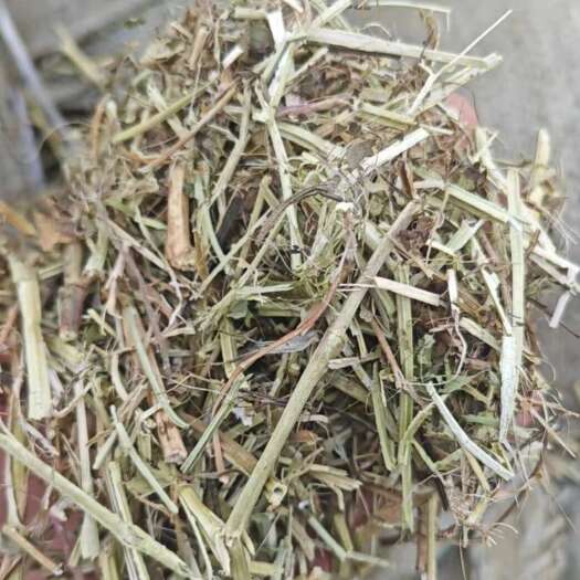确山县花生秧