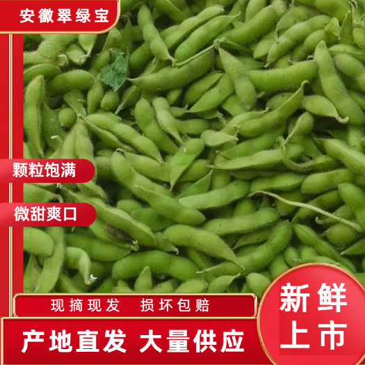安徽精品毛豆产地直供大版毛豆可提供风选水洗诚信产地代
