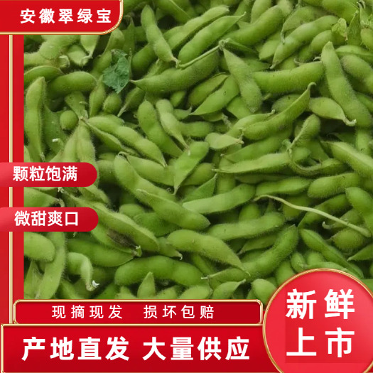 阜南县安徽精品毛豆产地直供大版毛豆可提供风选水洗诚信产地代