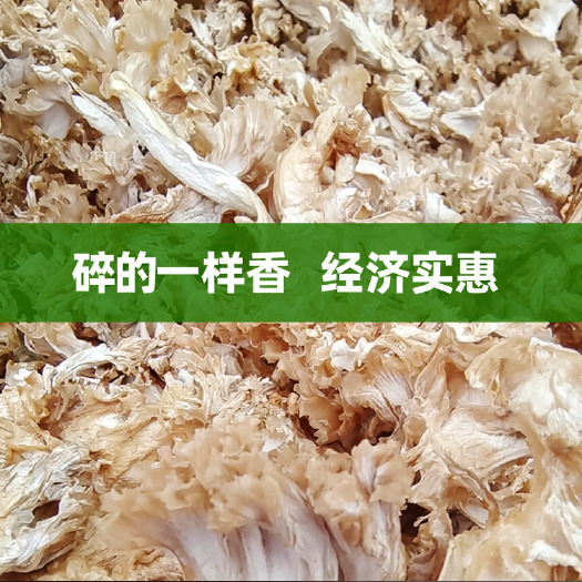 商洛绣球菌