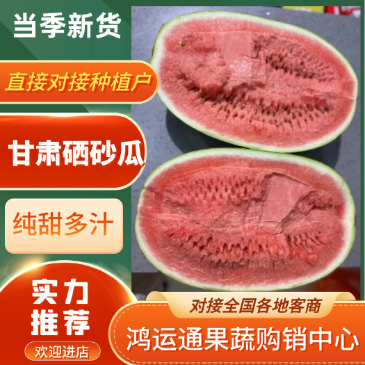 靖远县硒砂瓜［产地直供］甘肃靖远石头缝硒砂瓜火热上市中