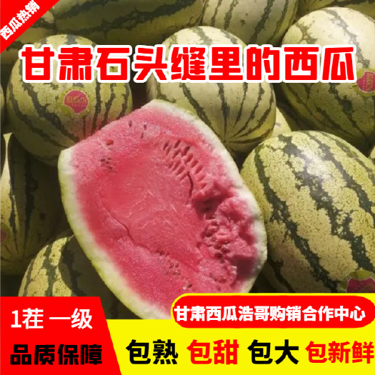 甘肃靖远石头西瓜 金花西瓜 日照时间长 口感好