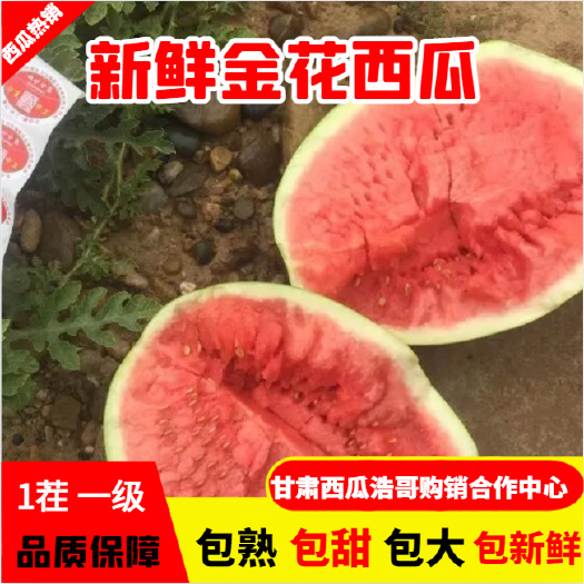 甘肃西瓜金花1号10斤打底头茬大吨位供应新鲜现摘