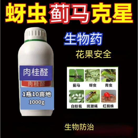 郑州豆角蓟马药粉虱蚜虫 蓟马抗性蓟马专用药 肉桂醛杀蓟马生物药