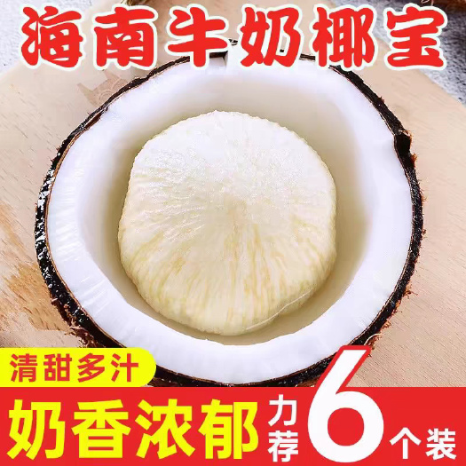 海南特产椰宝香甜可口椰子芯发芽老椰子新鲜水果牛奶椰皇毛椰特产