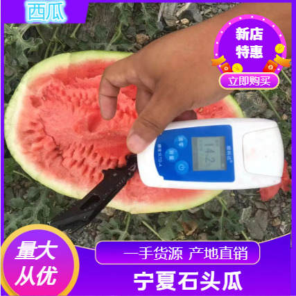 中卫宁夏香山石头瓜 全国人民都爱吃