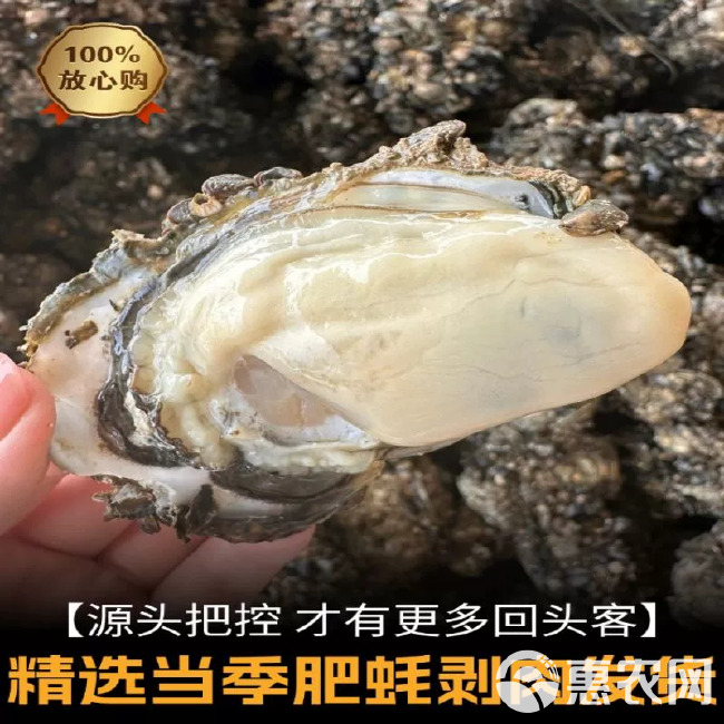 新鲜无壳鲜冻生蚝肉海蛎子肉鲜冻发货保鲜好商用