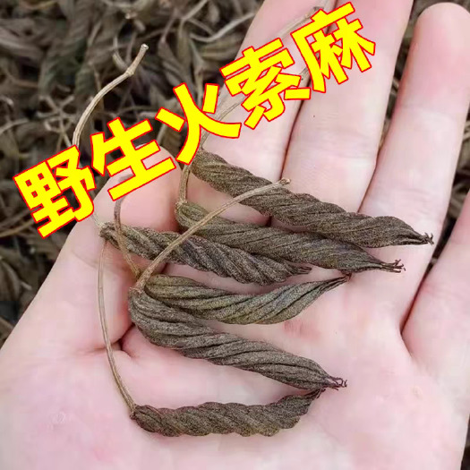 云南火索麻中药材草药山货虫草王 芝麻麻纽塞扭索麻