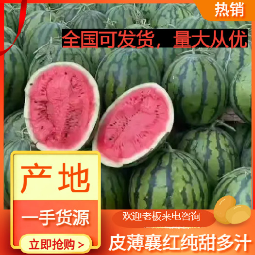 乾安县吉林松原有籽地雷西瓜新鲜采摘当季发货乾安特产