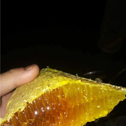 绵阳纯正农家土蜂蜜，一年一次，自家养殖